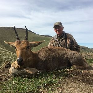 Hunting Mountain Reedbuck South Africa