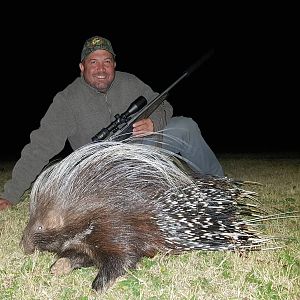Hunting African Porcupine South Africa