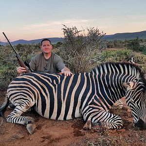 South Africa Hunting Burchell's Plain Zebra