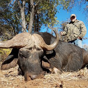 Cape Buffalo Hunting in South Africa