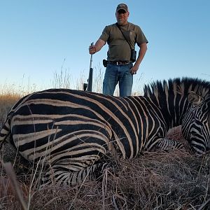 Hunt Burchell's Plain Zebra South Africa