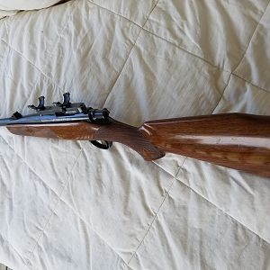 Remington Mohawk 600 Rifle