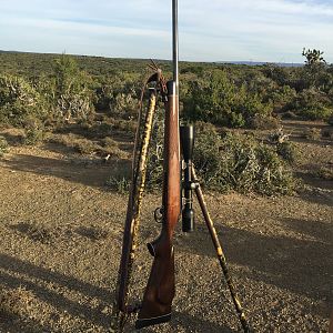 .300 win mag Remington 700 Rifle & Shooting Stick