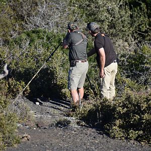 Waterbuck Hunt South Africa