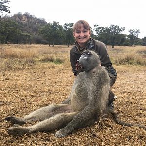 Baboon Hunting in Zimbabwe