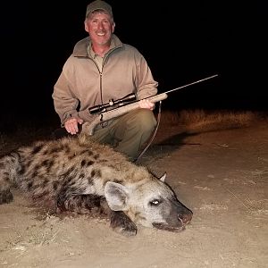 Spotted Hyena Hunting in Zimbabwe