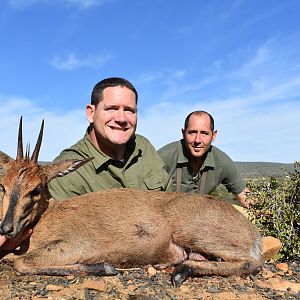 South Africa Hunt Duiker