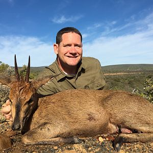 Hunting Duiker South Africa