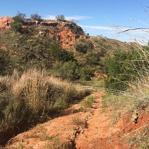 West Texas Aoudad Hunt