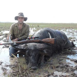 Asiatic Water Buffalo Hunting Australia