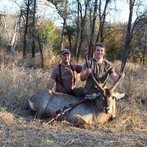 Zimbabwe Hunt Waterbuck