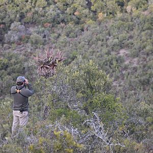 Glassing Game