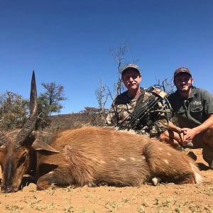 Bushbuck Bow Hunting South Africa