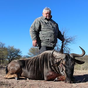 Hunting Blue Wildebeest South Africa