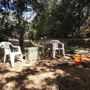 Cape Buffalo Burgers on the natural grill