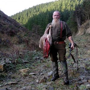 Fallow Deer Hunt New Zealand