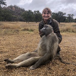Baboon Hunt in Zimbabwe