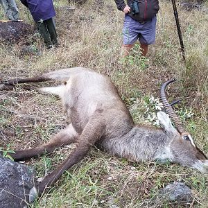 Hunting Waterbuck Zimbabwe