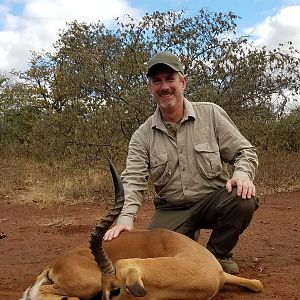 Impala Hunting in Zimbabwe