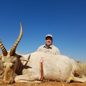 Hunting White Blesbok South Africa