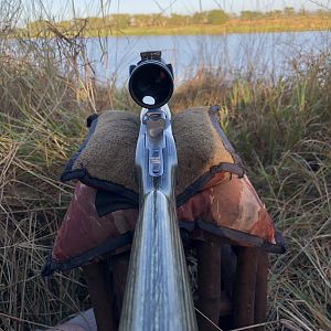 Hippo Hunt South Africa