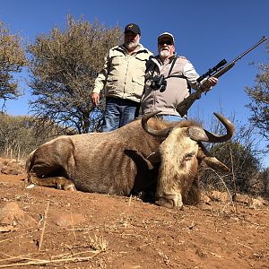 Golden Wildebeest Hunt in South Africa