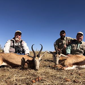 Hunting Springbok South Africa