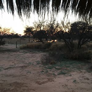 First sunrise in the Kalahari South Africa