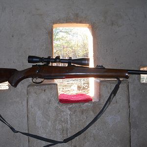 CZ-550 .375 H&H Magnum