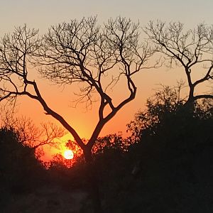 Sunset South Africa