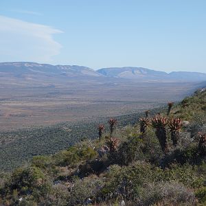 South Africa Hunting Area