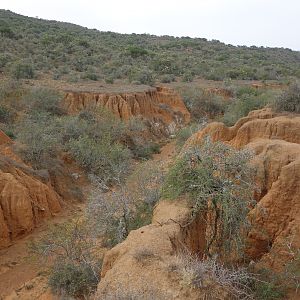 South Africa Hunting Area