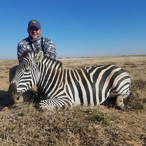 Burchell's Plain Zebra Hunting in South Africa