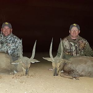 Hunt 15 5/8" & 16 3/8" Inch Bushbuck South Africa