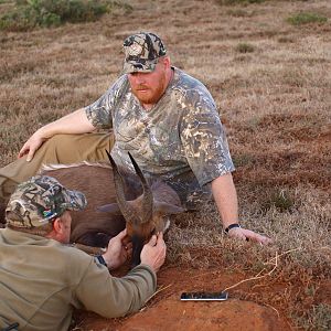 Hunt Bushbuck South Africa