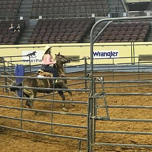 2018 AQHA Team Penner Youth World Championship