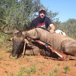 Blue Wildebeest Hunting in South Africa