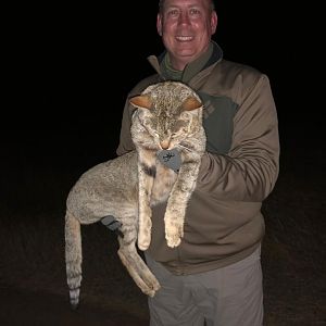 Zimbabwe Hunting African Wildcat