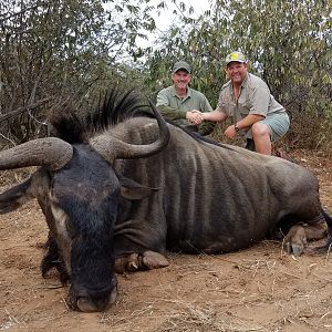 Blue Wildebeest Hunting in Zimbabwe