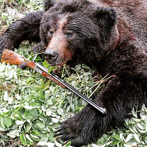 Bear Hunting with Merkel .375 H&H 140AE Double Rifle