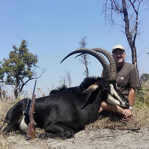 Zimbabwe Hunting 42” Inch Free Range Sable Antelope