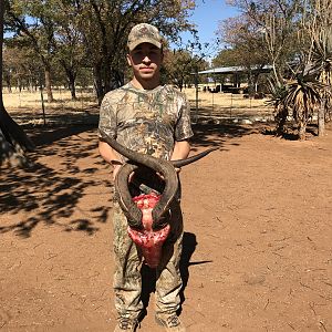 Bow Hunt Livingstone Eland in Namibia