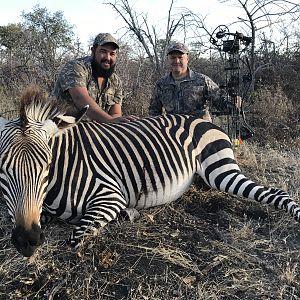 Hartmann's Mountain Zebra Bow Hunting Namibia