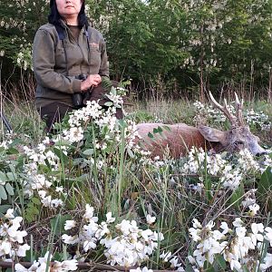 Romania Hunting Roe Deer