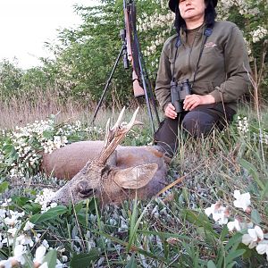 Roe Deer Hunt in Romania