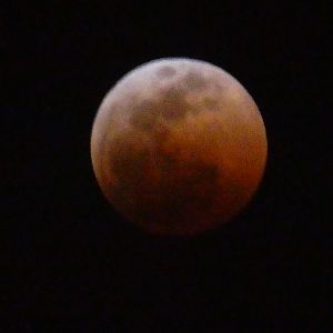 Blood Moon in Zambia