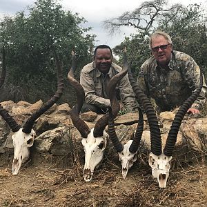 Massailand Tanzania Hunting
