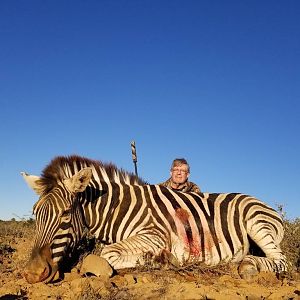 South Africa Hunt Burchell's Plain Zebra