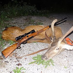 Deer Hunting with Mannlicher-Schoenauer