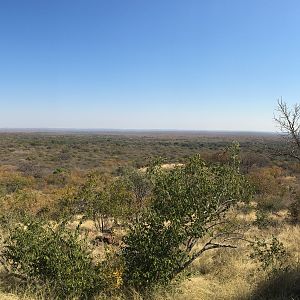 Hunting Area South Africa